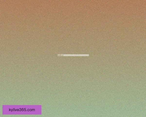 2026世界杯精彩赛事在线观看全攻略与直播资源指南