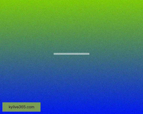 世界杯竞猜稳定平台分析与推荐助您轻松预测赛事结果赢得丰厚奖金