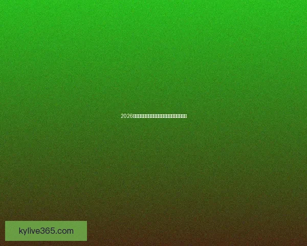 2026世界杯冠军争夺战深度解析与夺冠关键因素探讨