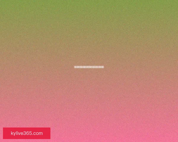 世界杯竞猜游戏规则解析与参与指南详细介绍