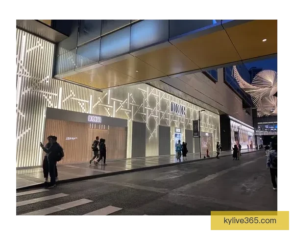 开云官方入口全新体验引领奢侈品购物潮流新趋势