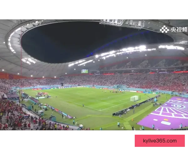 加拿大2026世界杯赛场全景揭秘探索各大城市的精彩球迷体验与赛事氛围