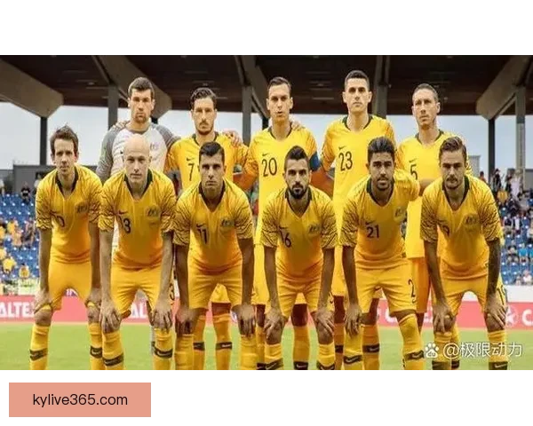 美加墨世界杯精彩竞猜平台全新玩法攻略解析