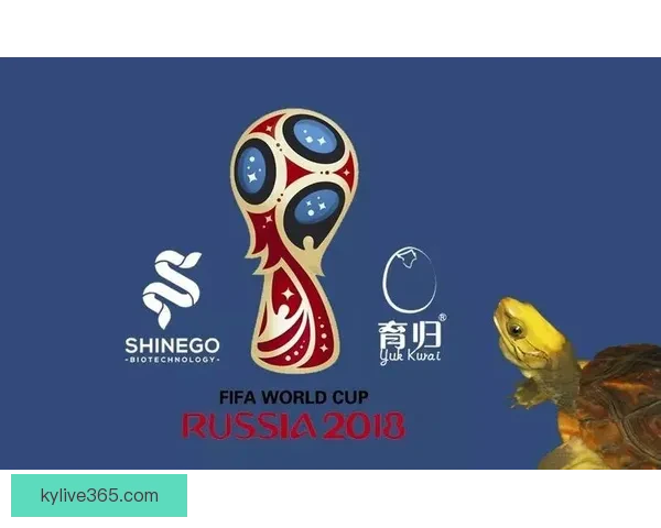 世界杯竞猜平台下载助你畅享赛事激情畅游精彩竞猜世界